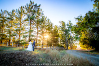 Anderson Wedding