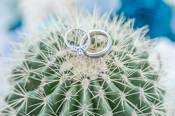 southern-california-wedding-photographers