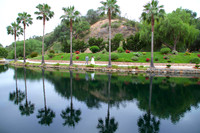Los Willows, Fallbrook CA